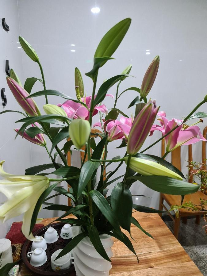 Ocean View Quy Nhon Hotel Екстериор снимка